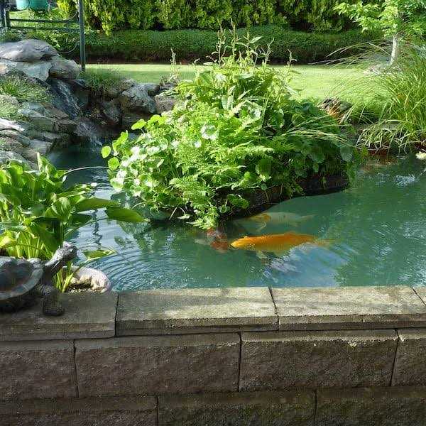 Pond Armor Non Toxic Pond Shield Epoxy Paint - MT - Mrs Treak