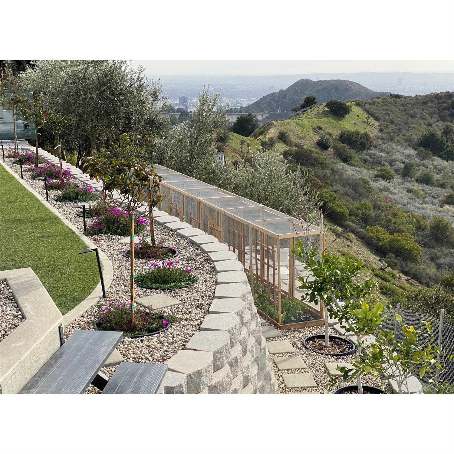 Waterrounds Planting Rings. Landscape Garden Protective - MT - Mrs Treak