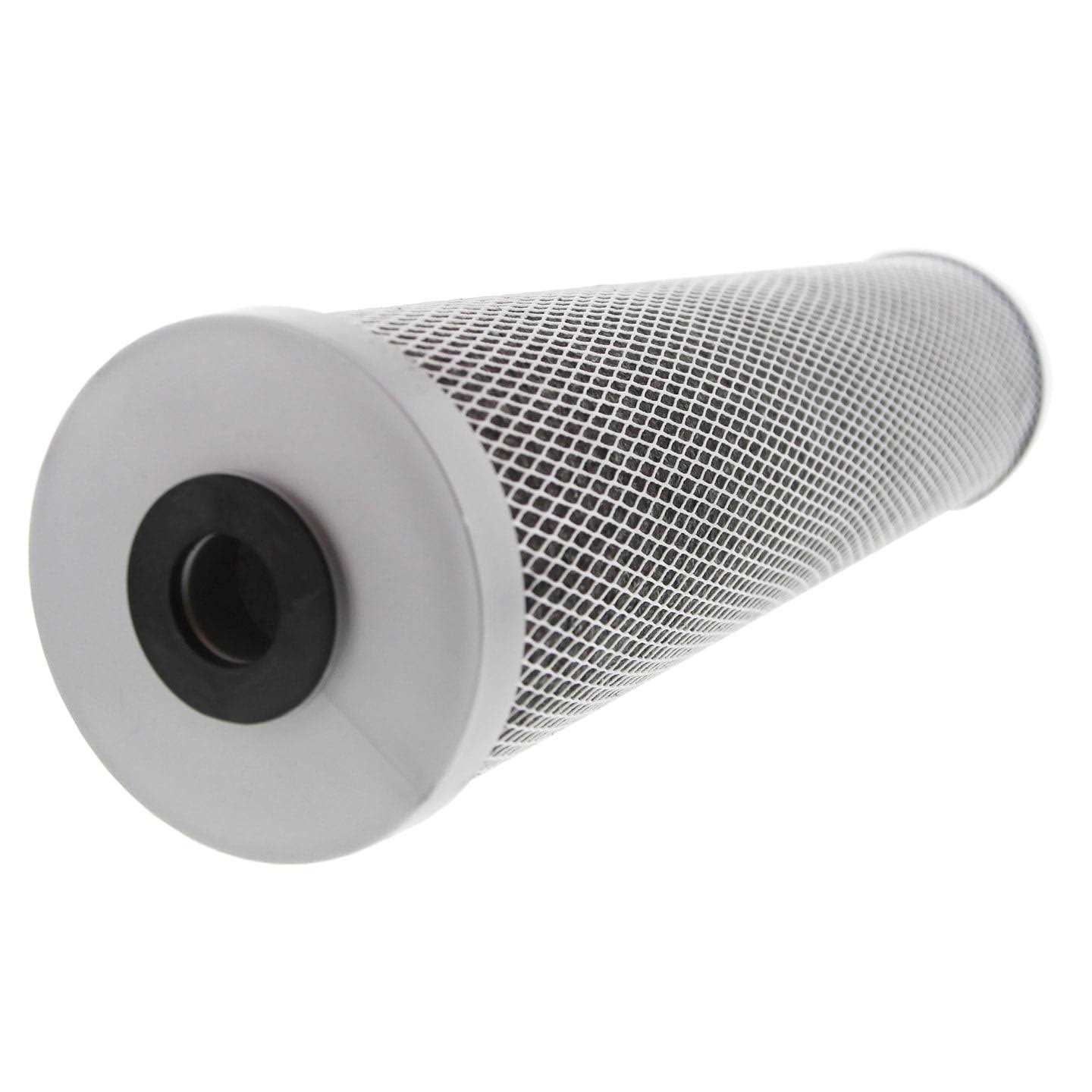 Pentek 455905-43 FloPlus-10BB Carbon Filter - MT - Mrs Treak