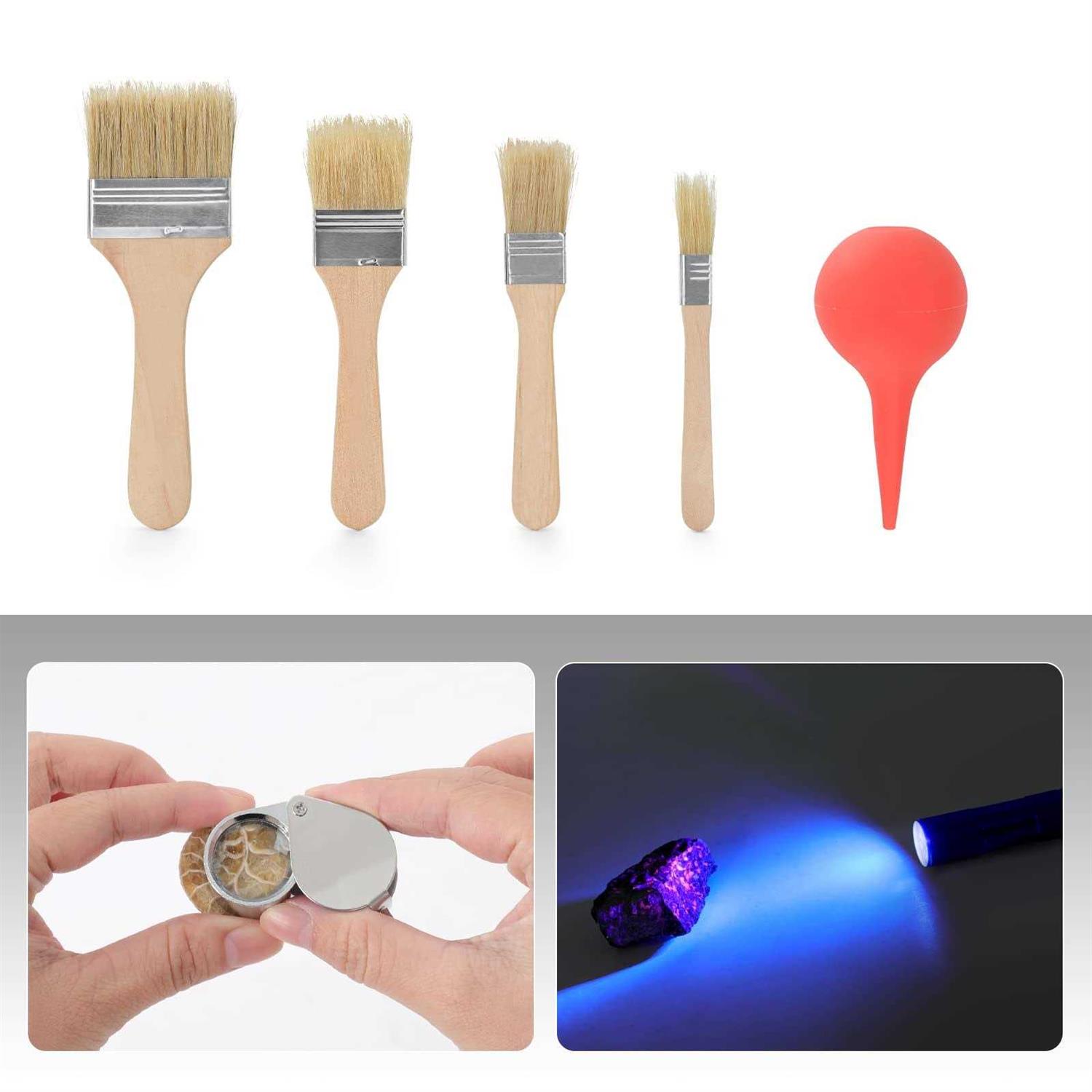 MySit 6 Pack Creeper Wheels 2.5 Inch Heavy Duty Swivel Caster Wheel Creeper Service Cart Stool Post Mount - MT - Mrs Treak