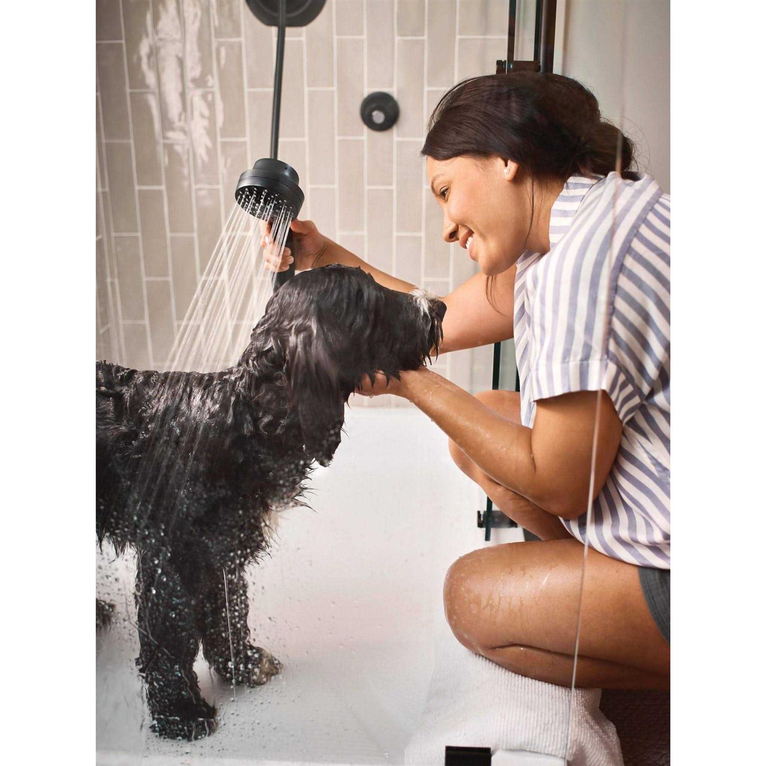 Moen Magnetix 26013 Combo 2.5-GPM Chrome 6-Spray Rain Handheld Shower - MT - Mrs Treak