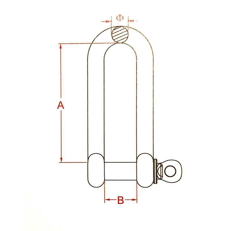 US Stainless Stainless Steel 316 D Shackle Marine Grade - MT - Mrs Treak