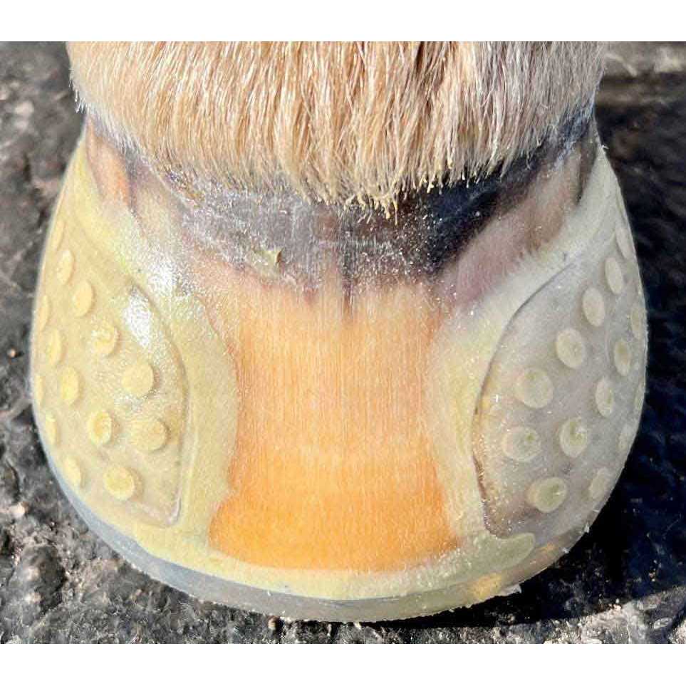 EasyShoe Versa Grip Glue Shoe - MT - Mrs Treak