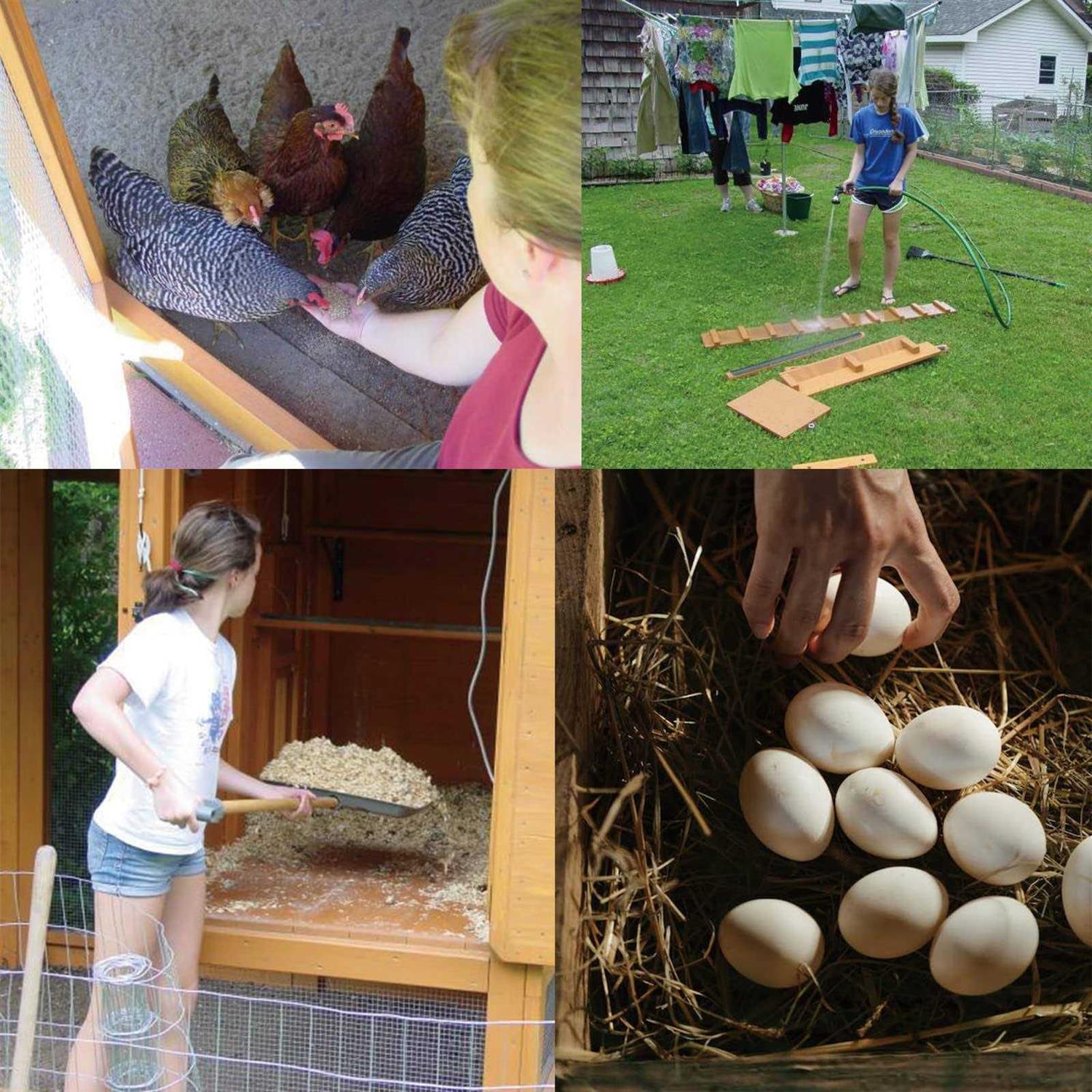 LAN JIA 1/4 Hardware Cloth 36inch x 50foot 23 Gauge Hot Dip Galvanized After Welding Chicken Wire Mesh Roll Galvanized Wire Mesh Roll Garden Fencing - MT - Mrs Treak