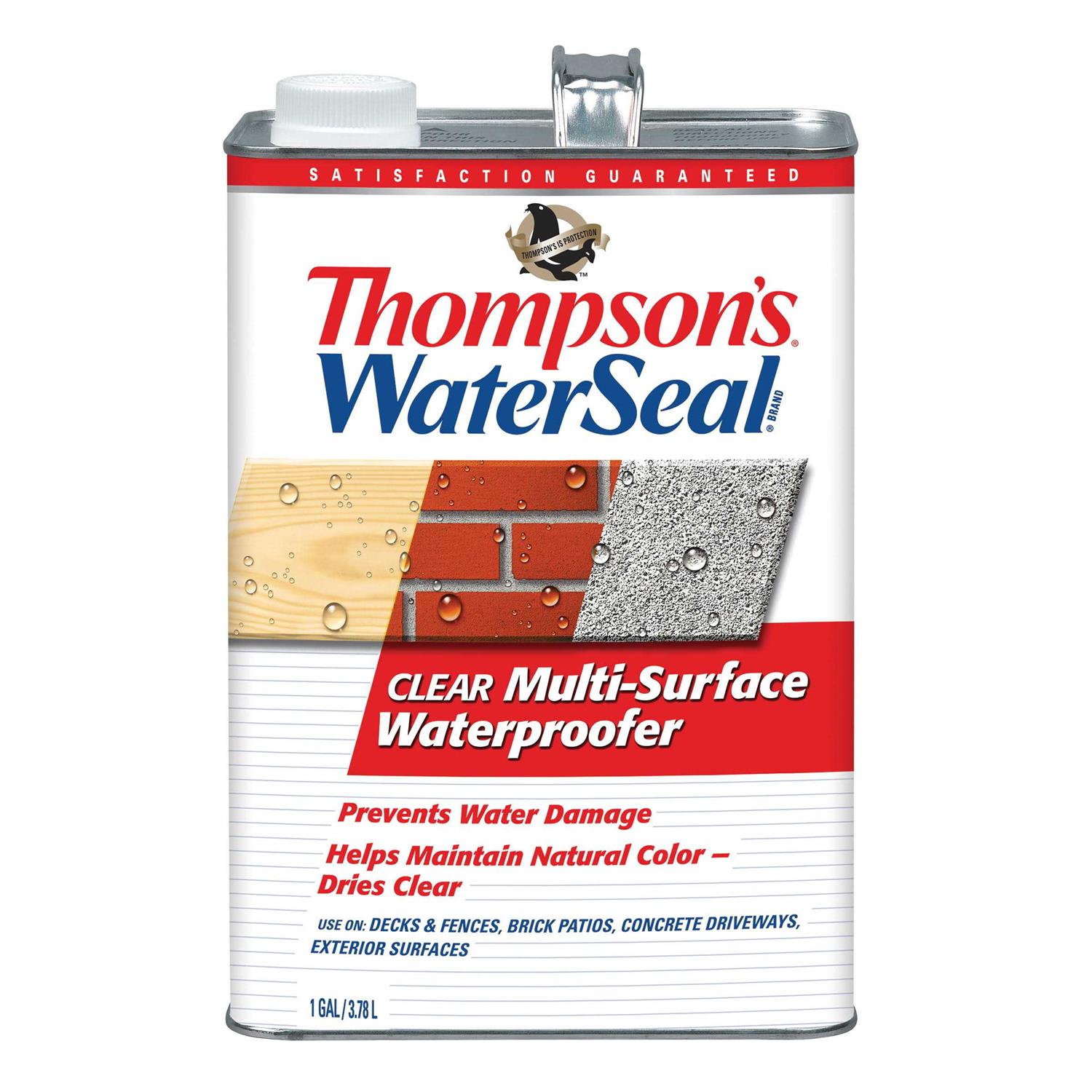 Thompson’s WaterSeal Clear Multi-Surface Waterproofer 1.2 Gallon - MT - Mrs Treak