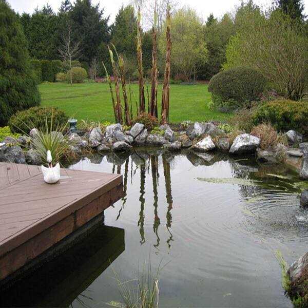 Pond Armor Non Toxic Pond Shield Epoxy Paint - MT - Mrs Treak