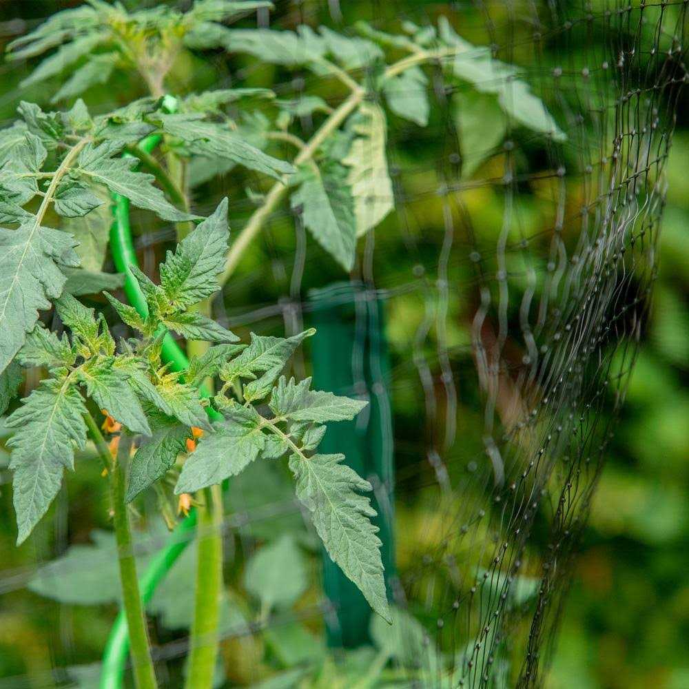 YardGard 72 in. H 16 Gauge Metal Chain Link Fence Terminal Post - Mrs Treak