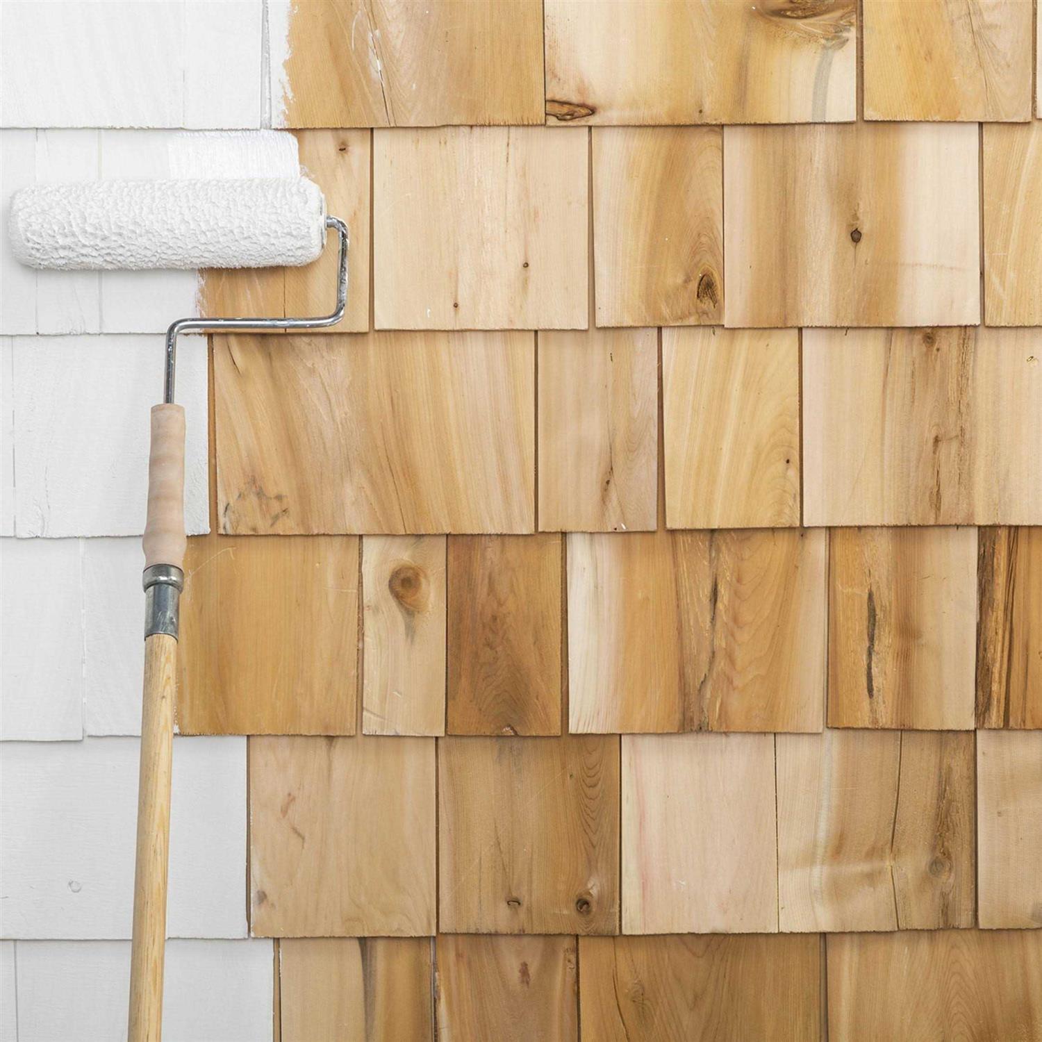 Zinsser 1 Gal Cover Stain Primer 3551 - MT - Mrs Treak