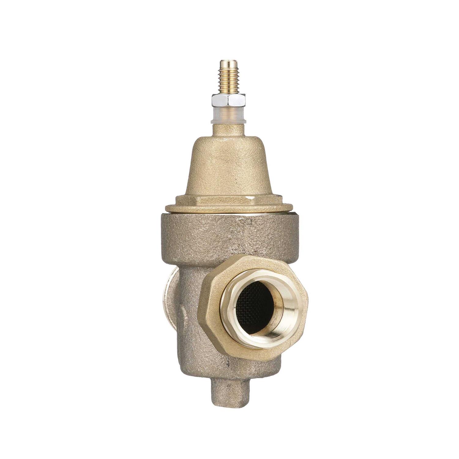 Watts Wall Hydrant HY 430 - MT - Mrs Treak