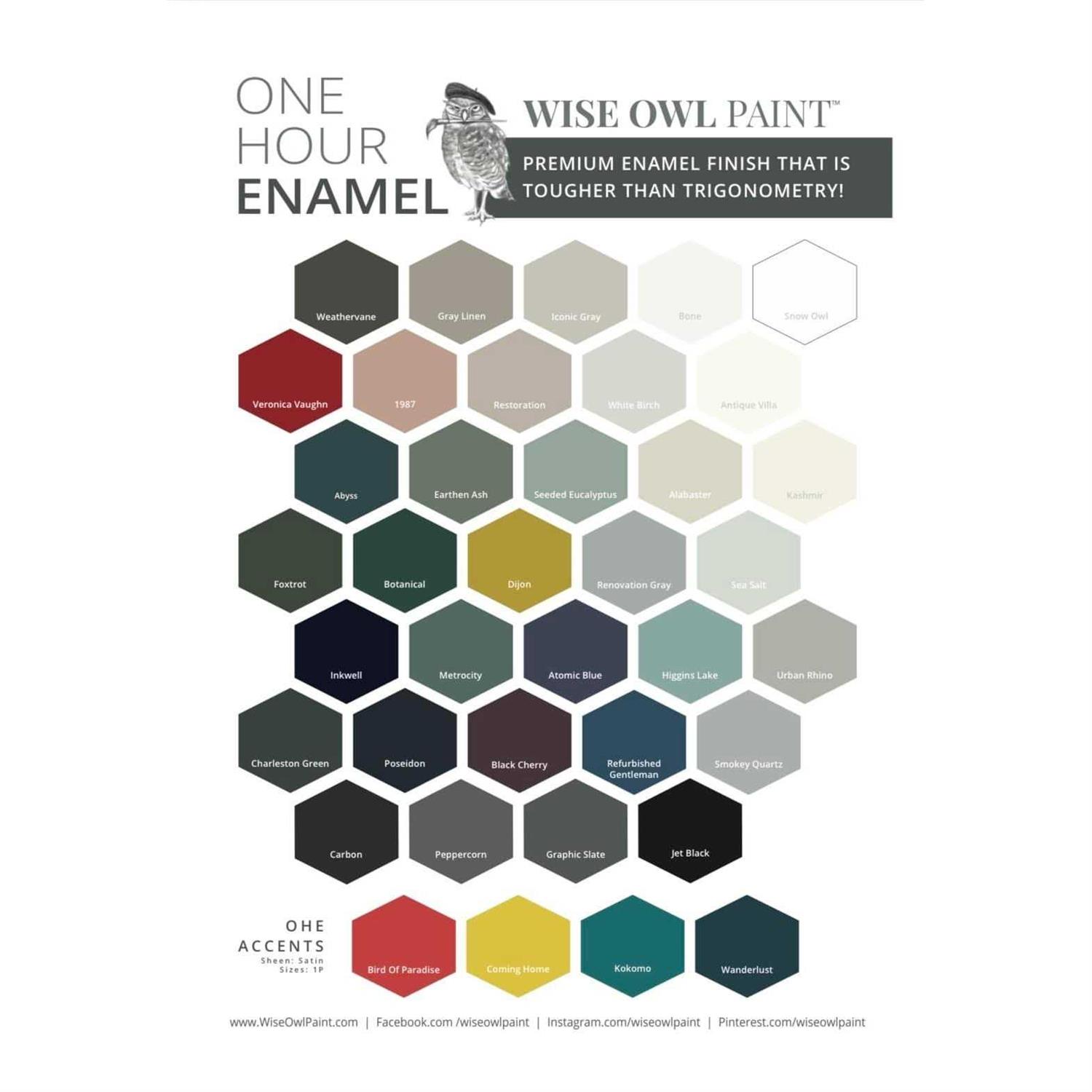 Wise Owl One Hour Enamel Paint - MT - Mrs Treak