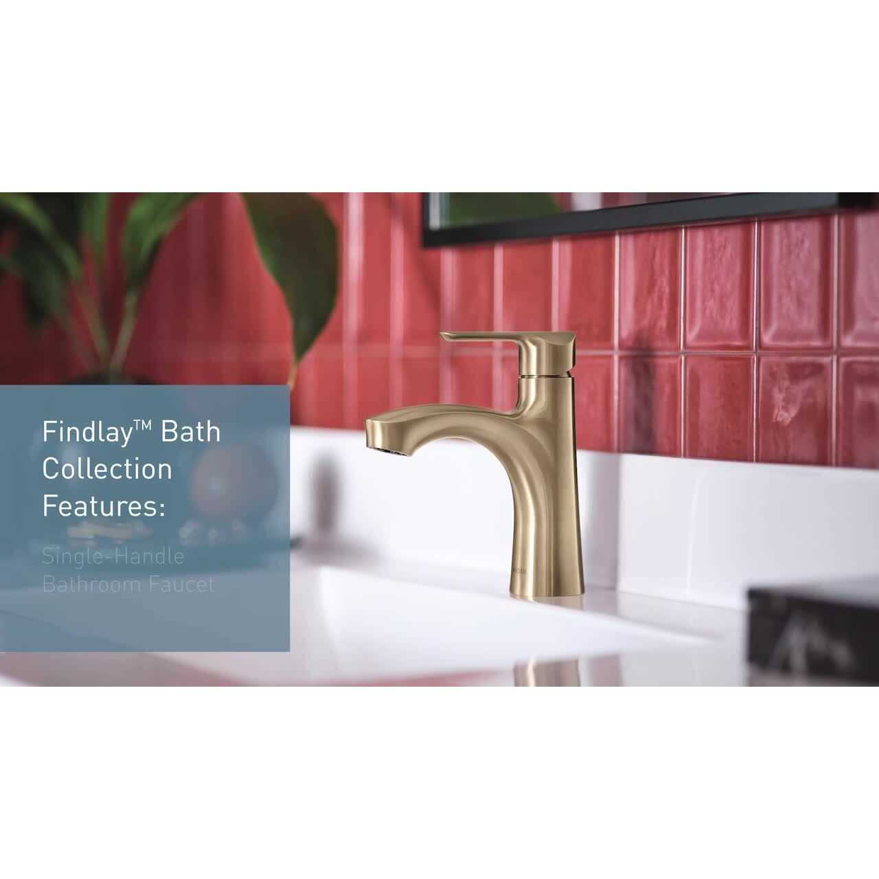 MOEN Findlay Single-Handle Single-Hole Bathroom Faucet - MT - Mrs Treak