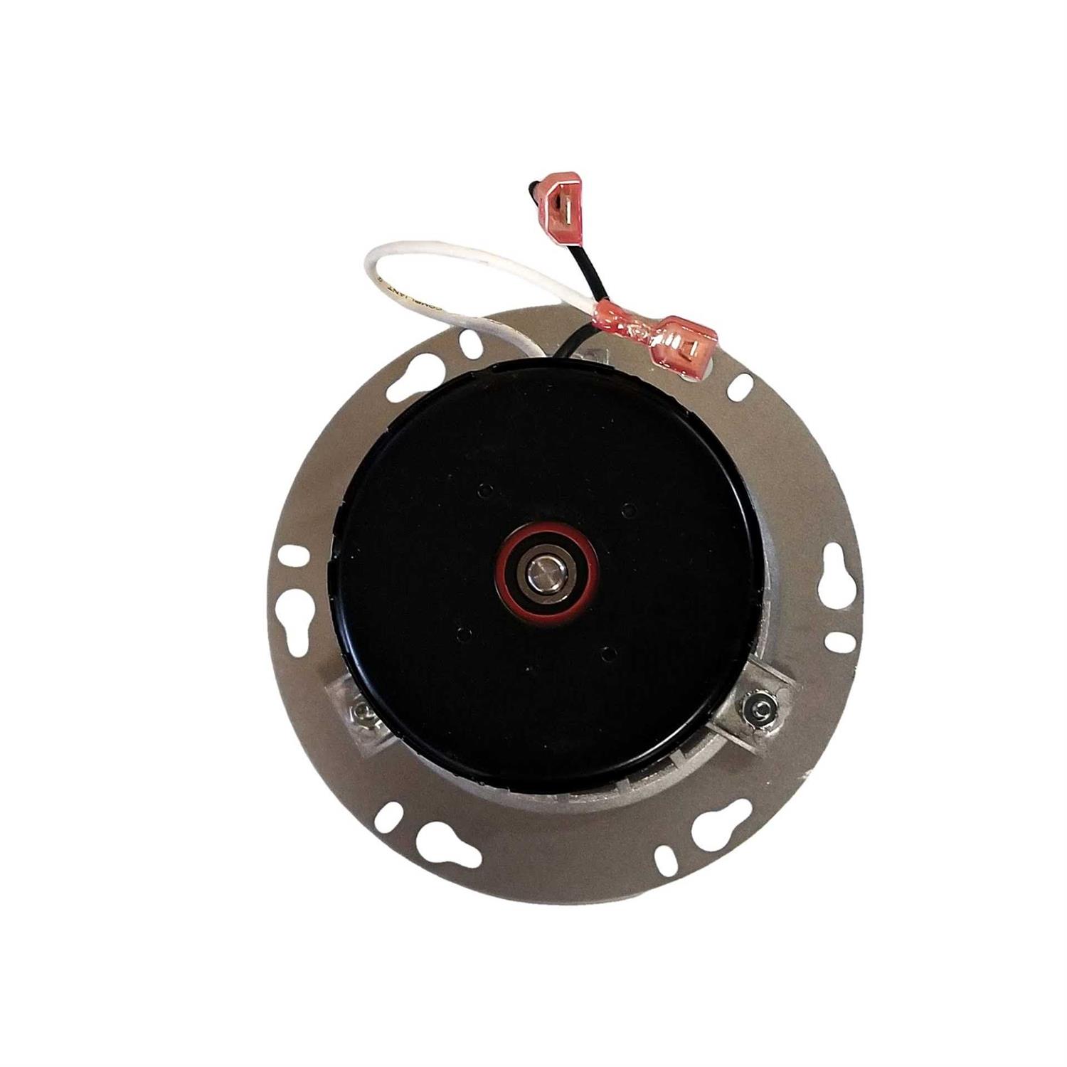 Travertini 12 x 24 Porcelain Field Tile Samson - MT - Mrs Treak