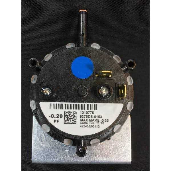 NordWolf 10-Piece Rotary Burr Wood Carving Rasp Files Set, with 1/4 Hex Shank for Wood & Rubber Deburring, Shaping and Grooving - MT - Mrs Treak