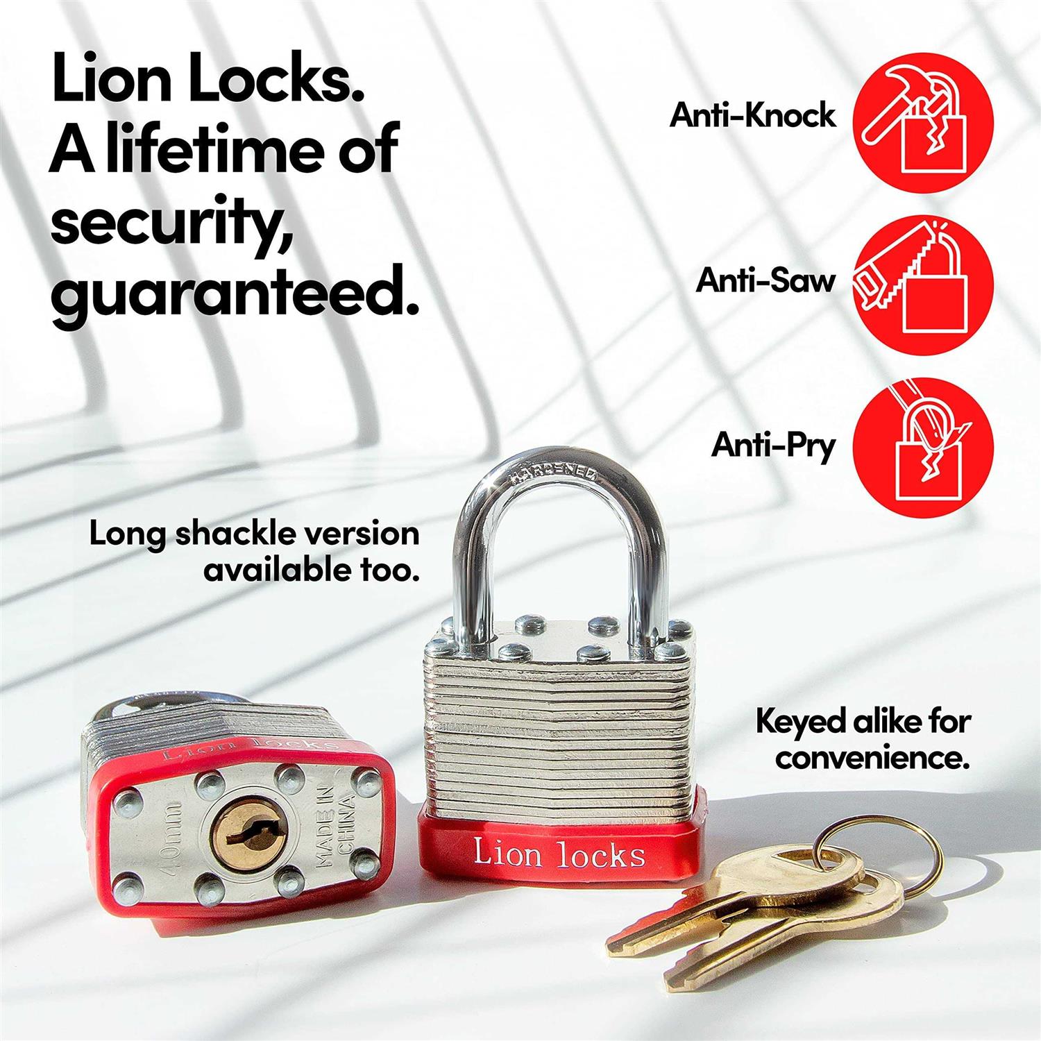 Lion Locks 12 Keyed-Alike Padlocks w/ 1.25” Shackle Keys - MT - Mrs Treak