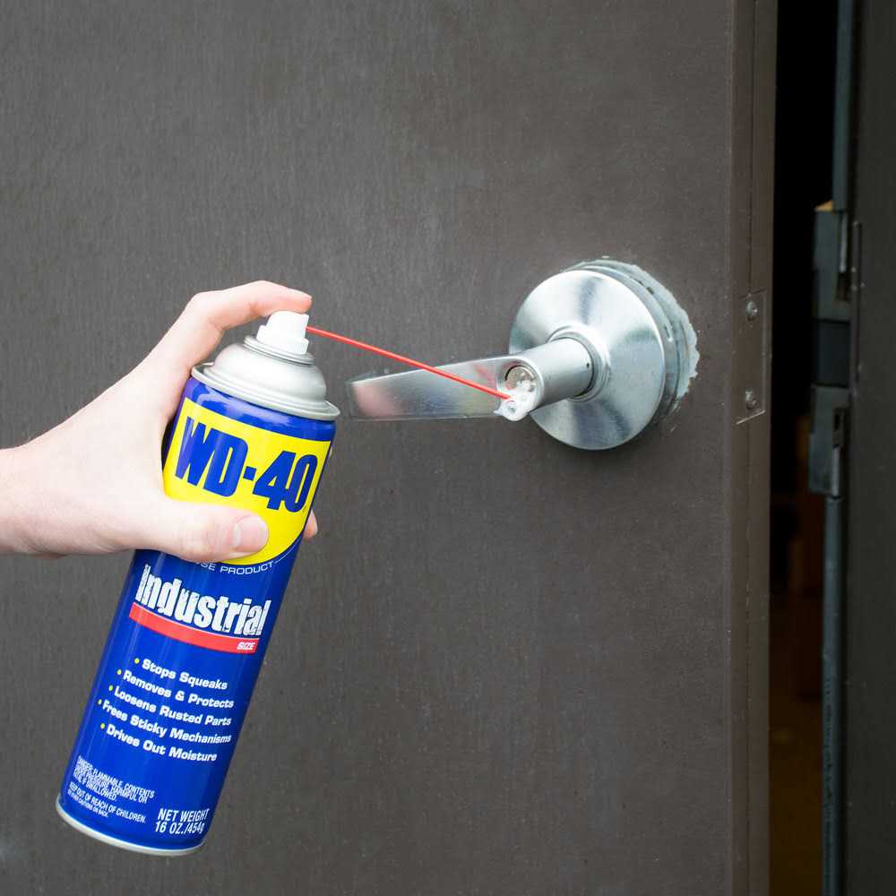 WD-40 Lubricant - MT - Mrs Treak
