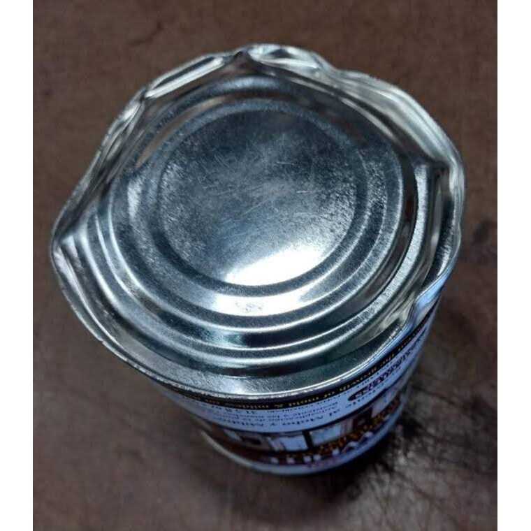 Zinsser Peel Stop Triple-Thick Primer - Mrs Treak