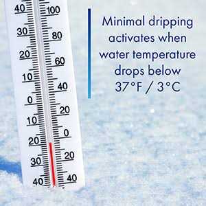 The Freeze Miser - MT - Mrs Treak