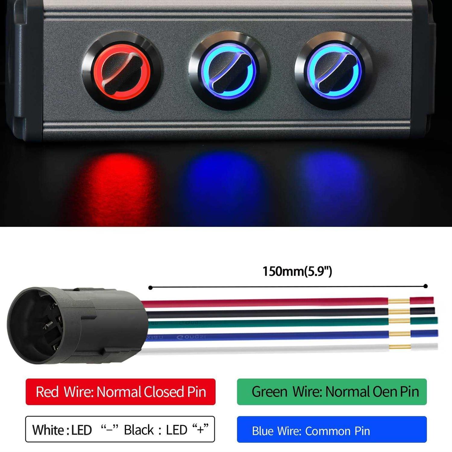 ZJWZJH Rotary Switch 19mm Positions LED Light - MT - Mrs Treak