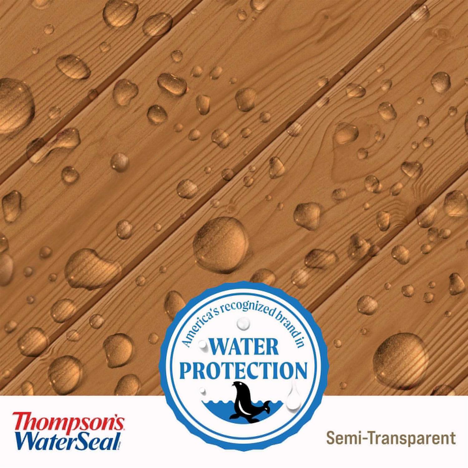 Thompson’s WaterSeal Semi-Transparent Wood Sealer - MT - Mrs Treak