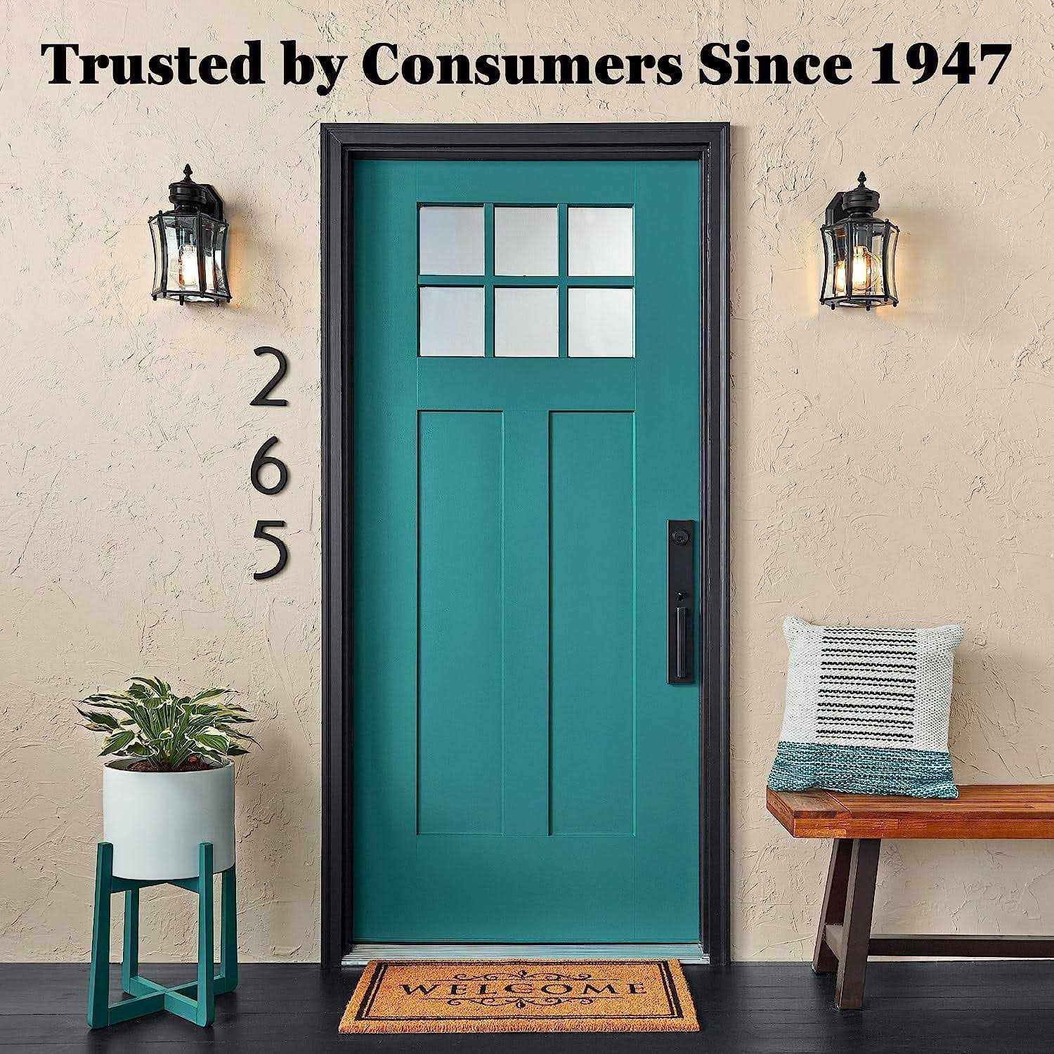 Krylon 12 High Heat White Spray Paint - MT - Mrs Treak