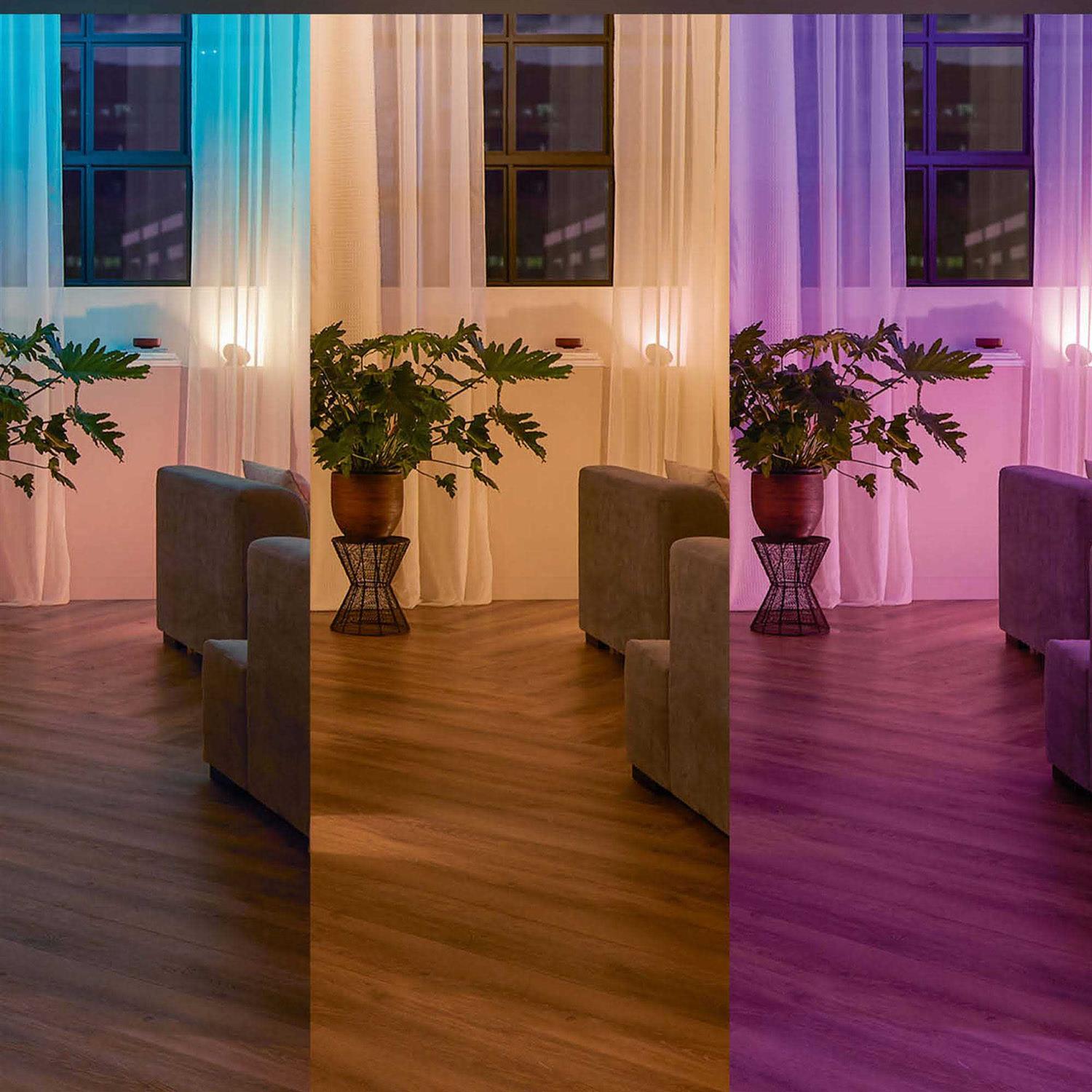 Philips Hue Wall Switch Module - MT - Mrs Treak