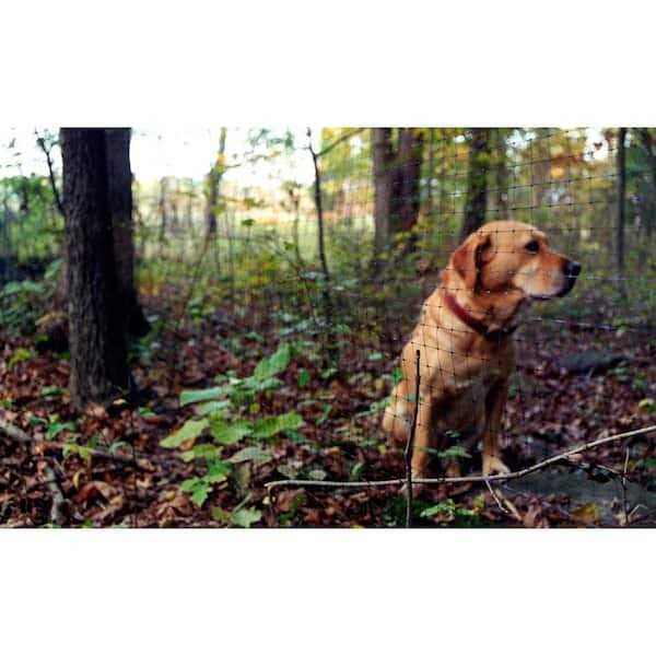 Tenax Pet Fence Premium 5-ft x 100-ft - MT - Mrs Treak