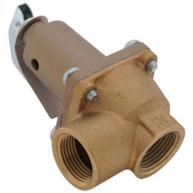 Watts 0156731 Relief Valve - MT - Mrs Treak