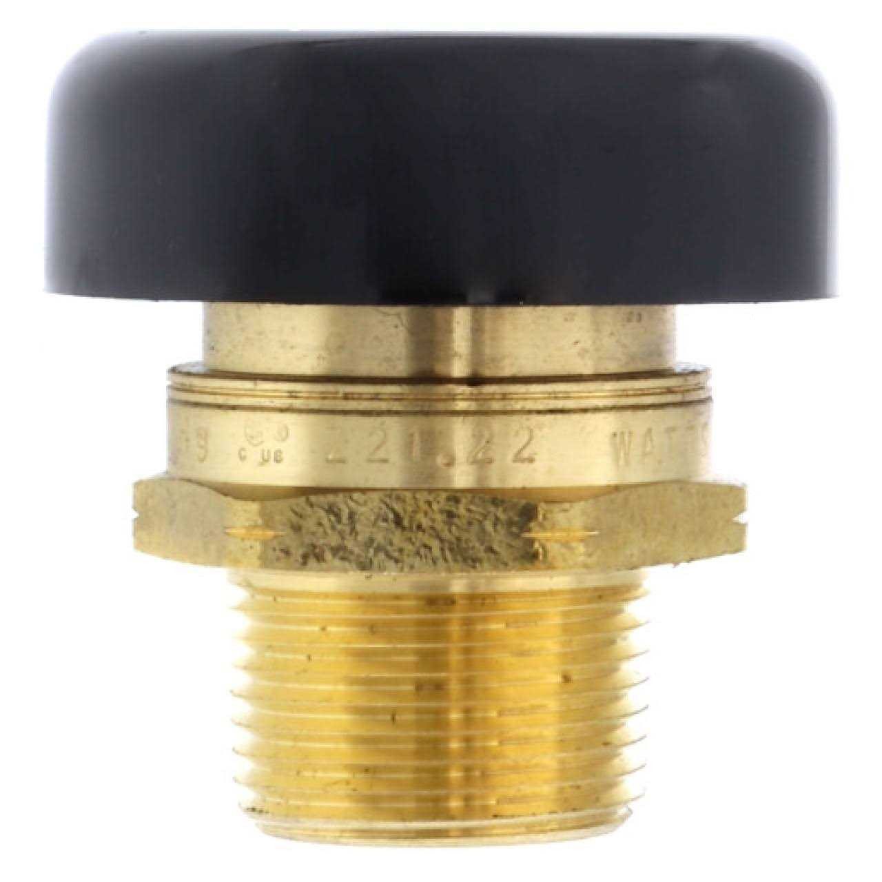 Watts LFS777SI Lead Free Wye Strainer - MT - Mrs Treak