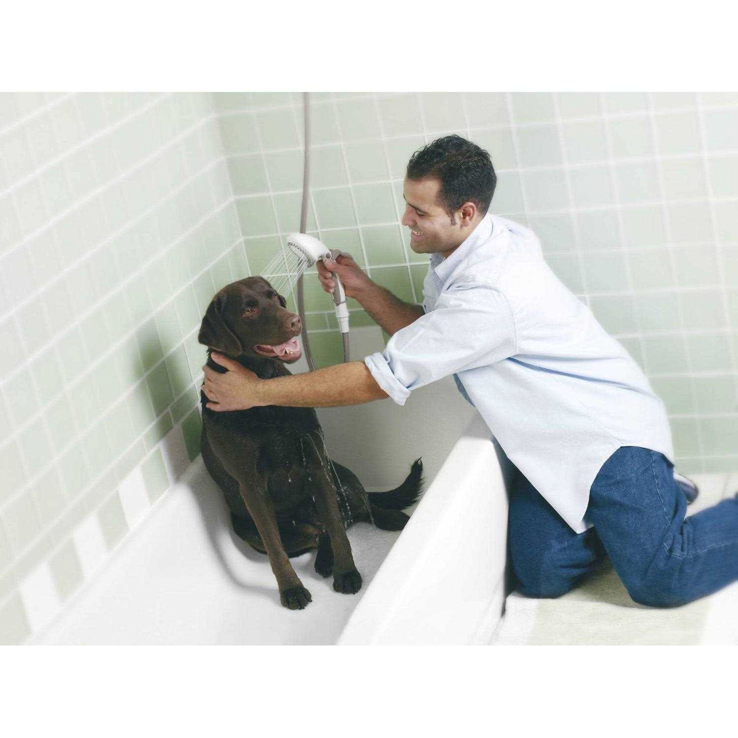 Moen DN7175 Home Care Tub Grip - MT - Mrs Treak