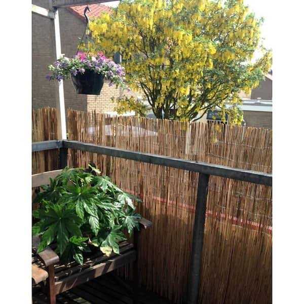 MGP 5 ft. L x 4 ft. H Bamboo Picket Rolled Fence - MT - Mrs Treak