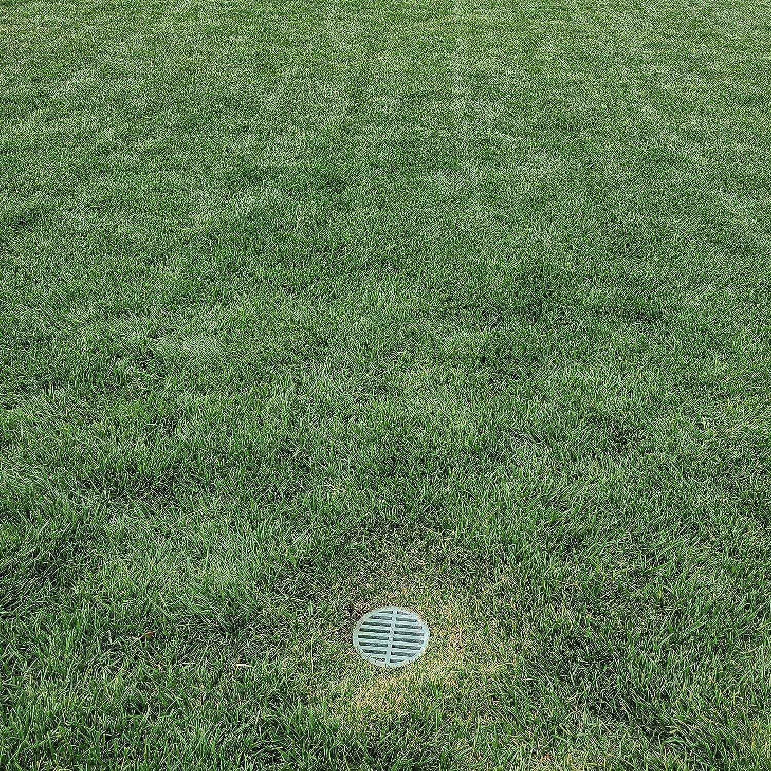 Premium USA Made Outdoor Round Flat Drain Grate Cover - MT - Mrs Treak