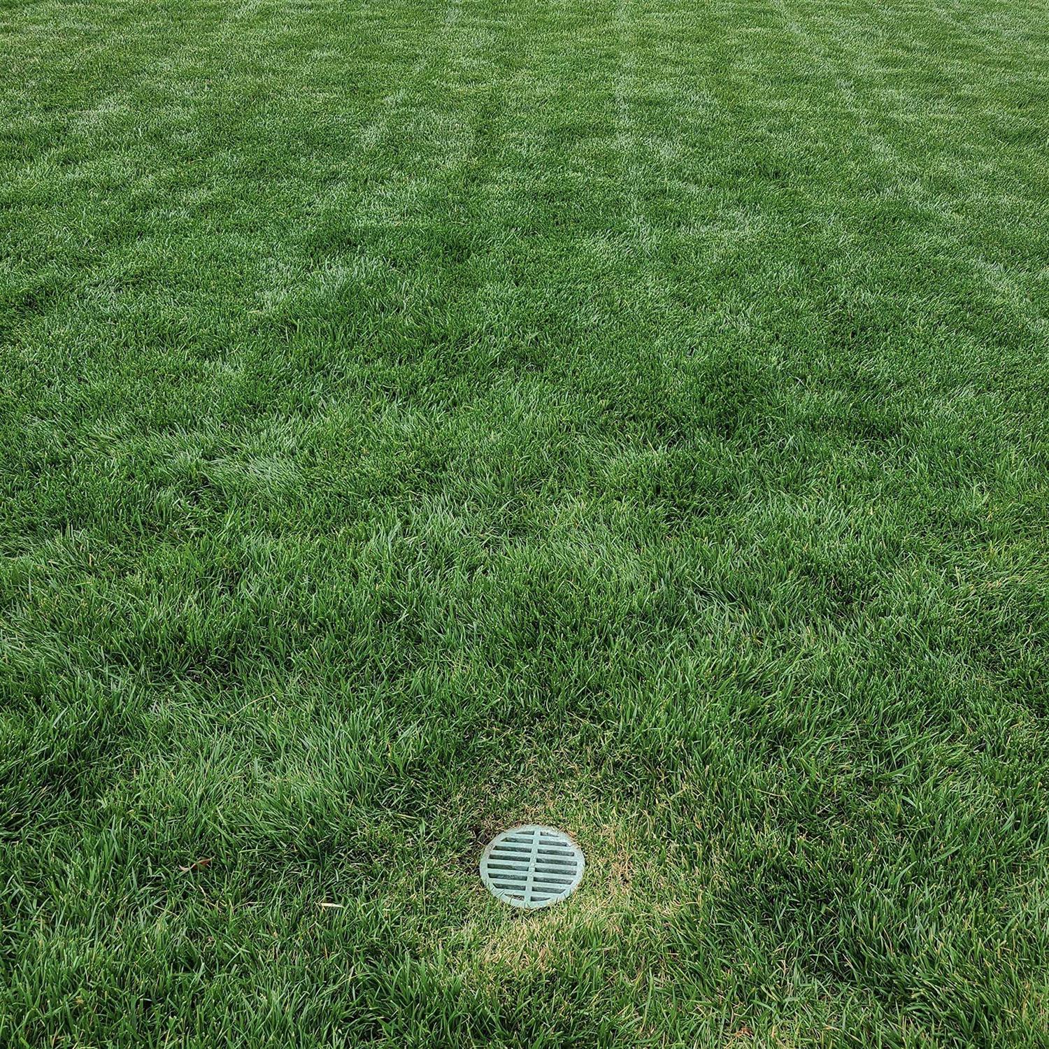 Premium USA Made Outdoor Round Flat Drain Grate Cover - MT - Mrs Treak