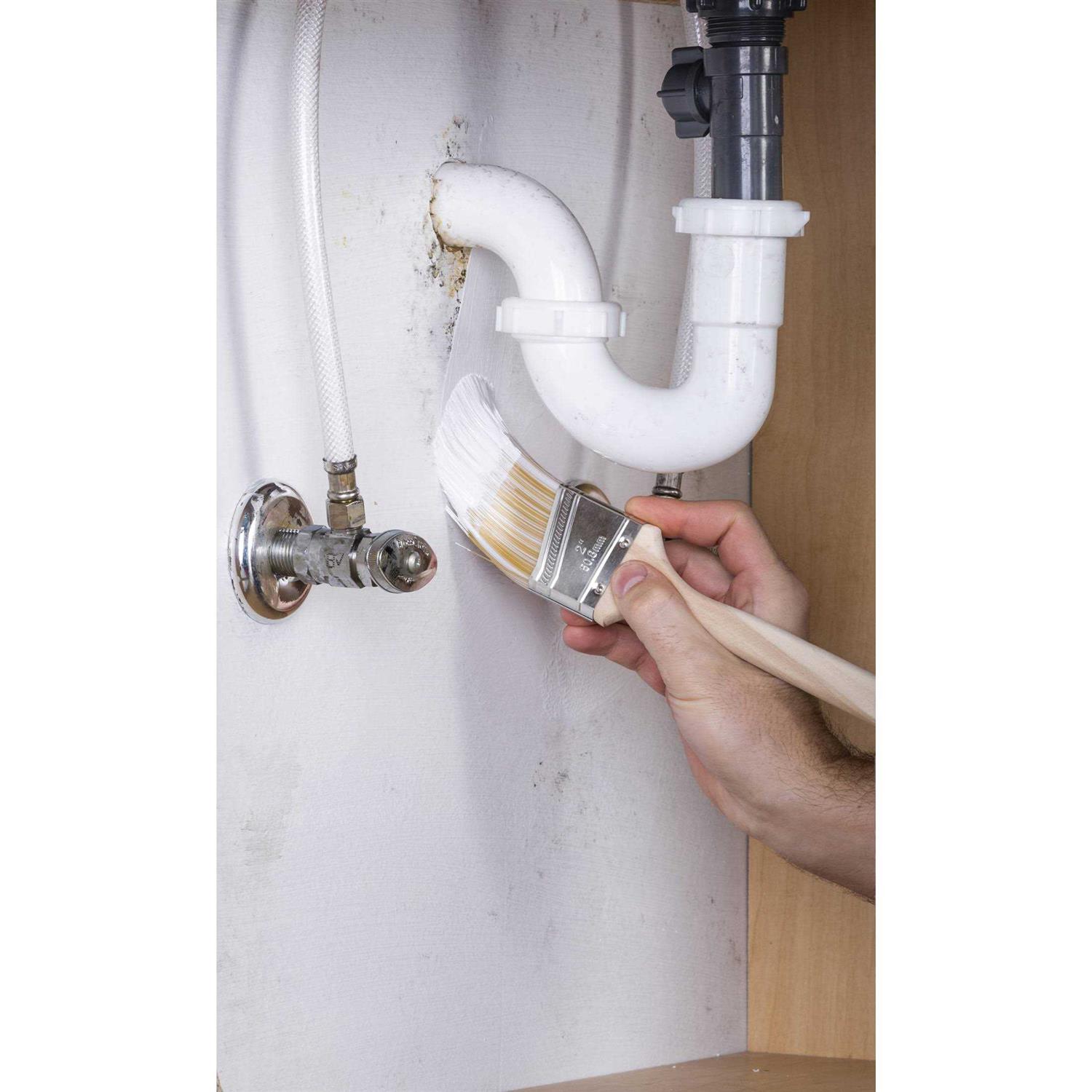 Zinsser Mold Killing Primer - MT - Mrs Treak