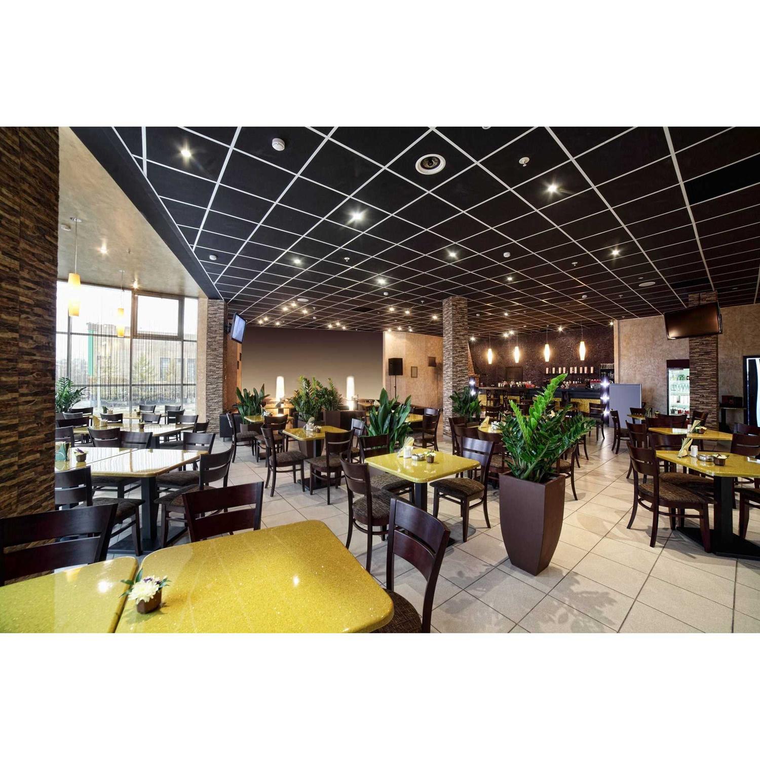 UDAP Electric Bear Fence - MT - Mrs Treak