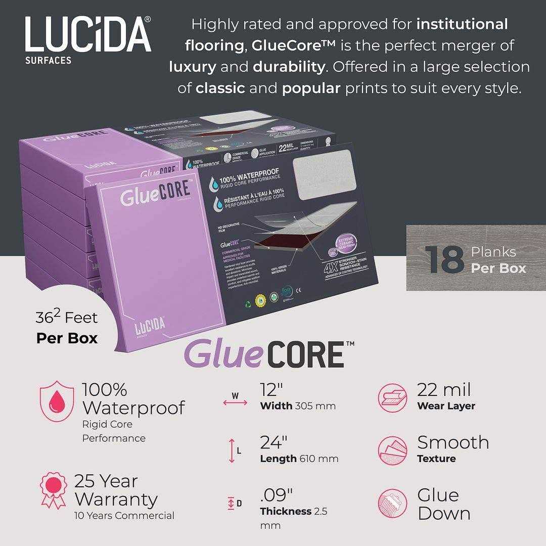 Lucida USA Gluecore 22-MIL x 12-in W x 24-in L Glue Down Luxury Vinyl Plank Flooring - MT - Mrs Treak