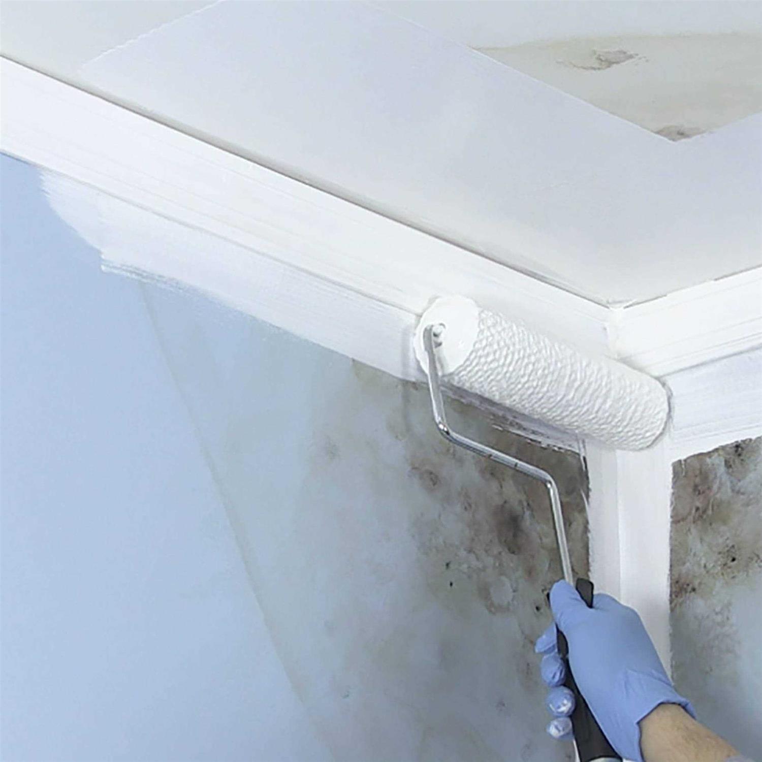 Zinsser Mold Killing Primer - MT - Mrs Treak