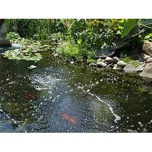 The Pocket Lighter - MT - Mrs Treak