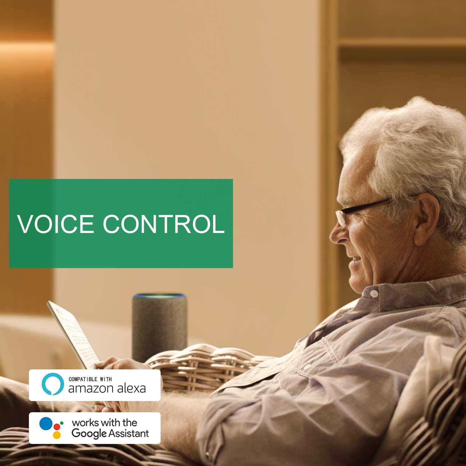 Zibra Triangle Paint Brush PB125LZT - MT - Mrs Treak