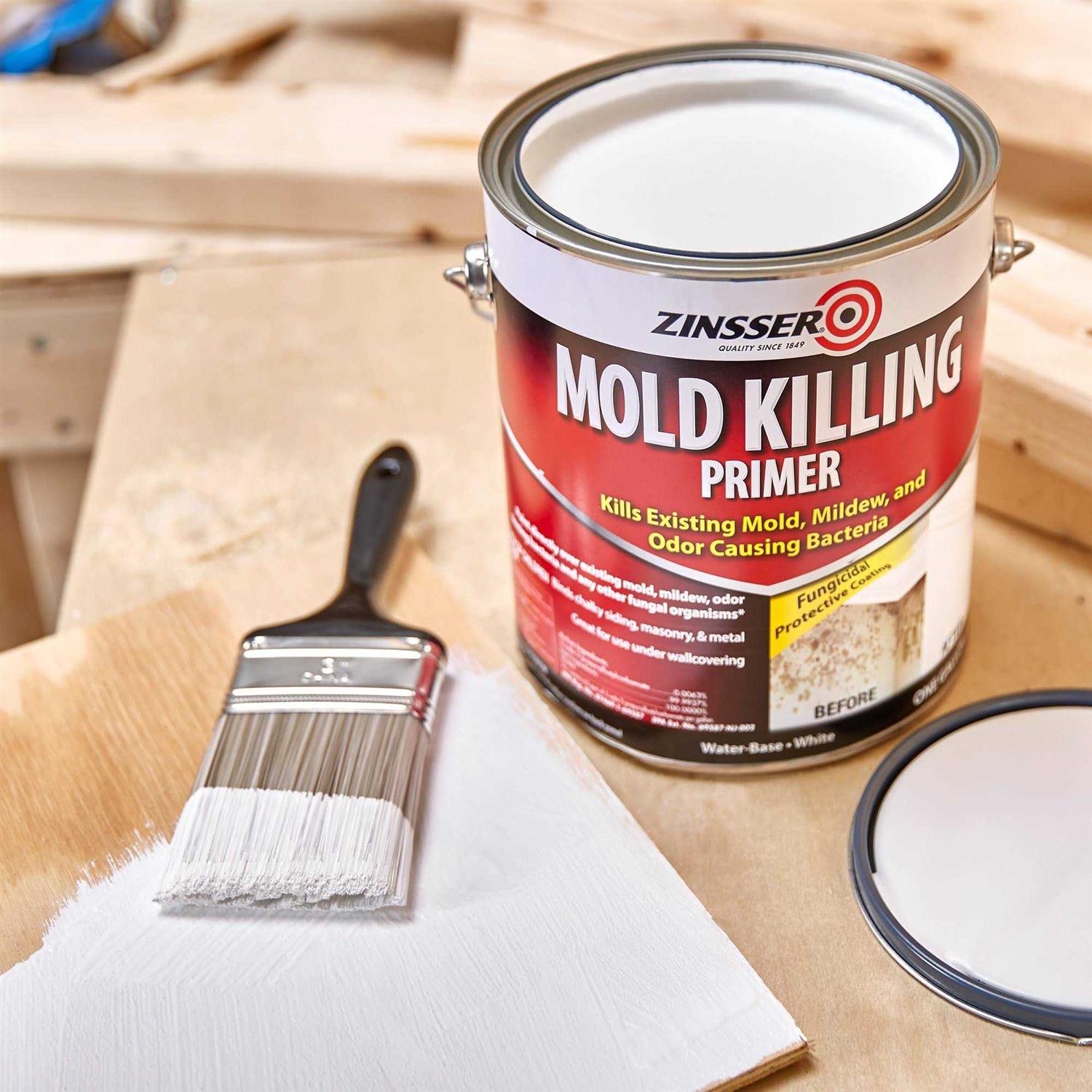 Zinsser Mold Killing Primer - MT - Mrs Treak