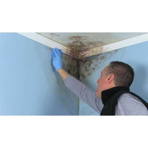 Zinsser High Hide Cover-Stain Primer - MT - Mrs Treak