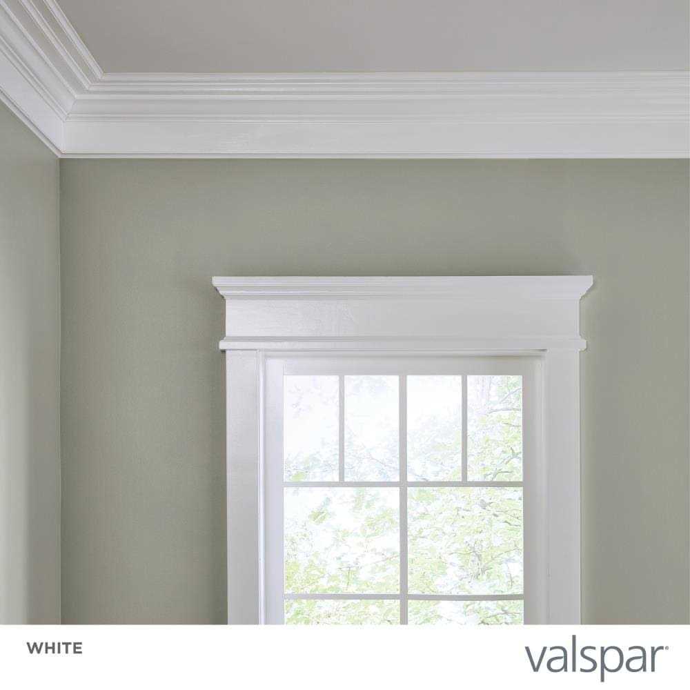 Valspar Interior Paint - MT - Mrs Treak