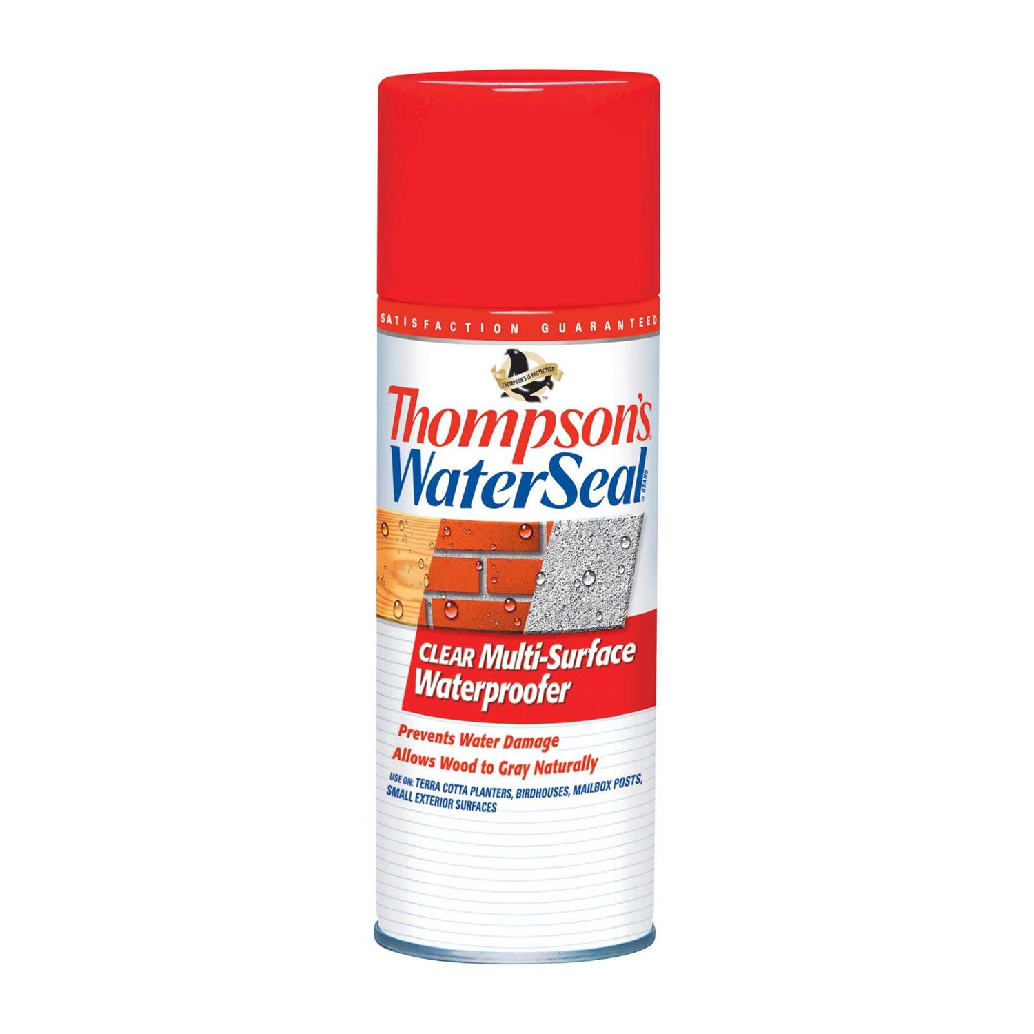 Thompson’s WaterSeal Clear Exterior Wood Stain & Sealer - MT - Mrs Treak