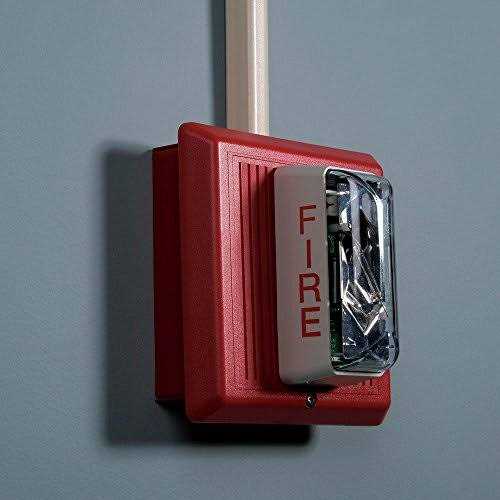 Wiremold BW5 Starter Box - Mrs Treak