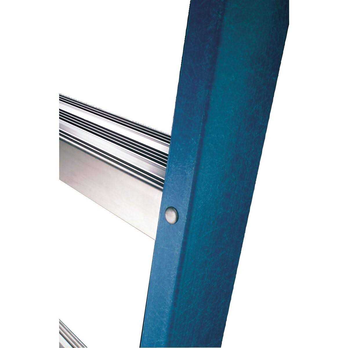 Werner 6′ LEANSAFE Type IA Fiberglass Leaning Ladder L6206 - MT - Mrs Treak