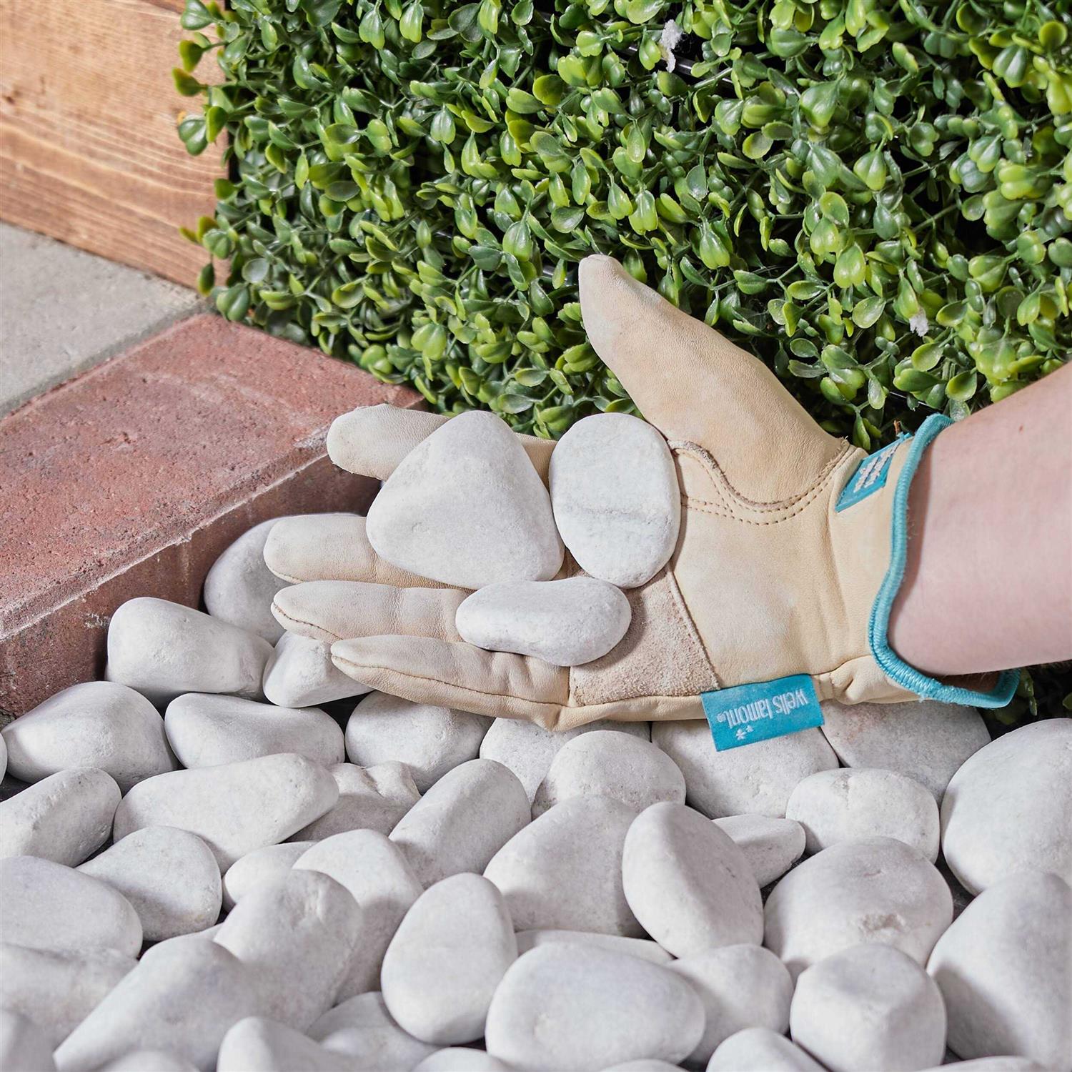 Sunluway Harmonic Balancer Socket Tool 77080 19 mm 3 Times Momentum Power of Standard Impact Sockets for Honda - MT - Mrs Treak