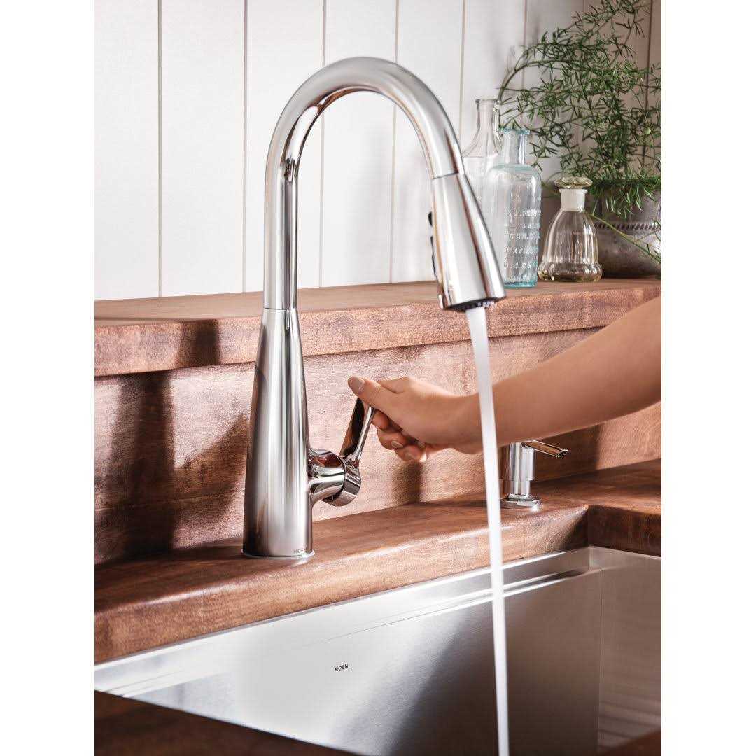 Moen 87627 Haelyn 1.5 GPM Single Hole Pull Down Kitchen Faucet - MT - Mrs Treak