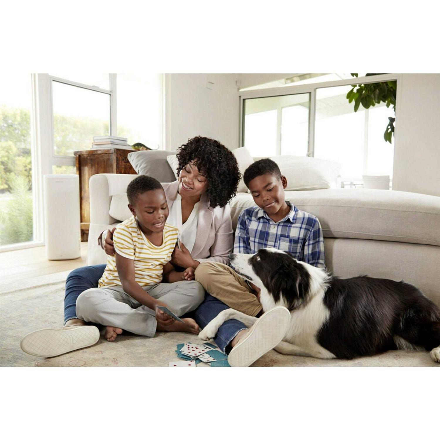 Filtrete Ultra Allergen Air Filter - MT - Mrs Treak