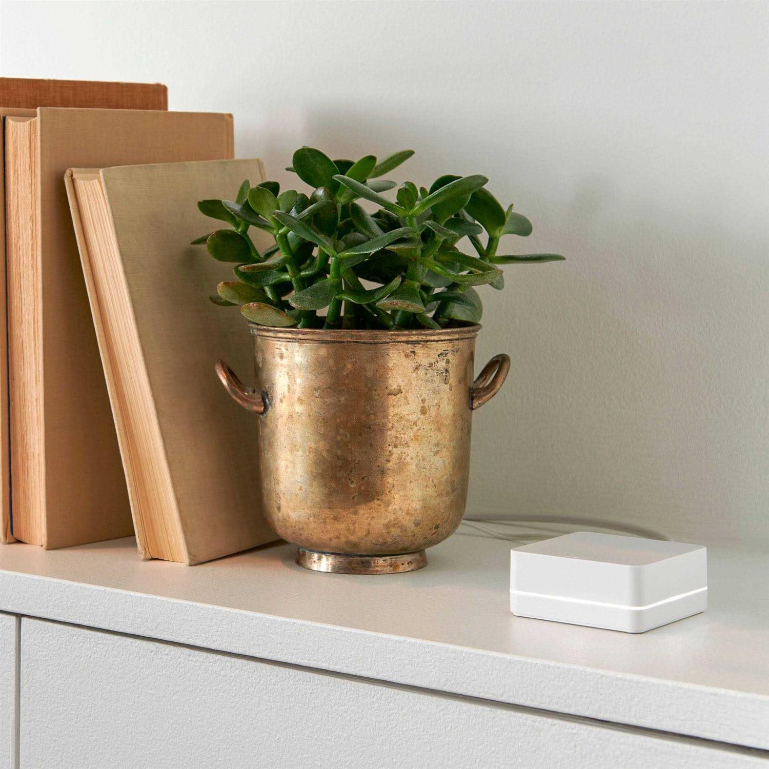 Lutron Diva Smart Dimmer Switch 3-Way Kit with Pico Paddle Remote - MT - Mrs Treak