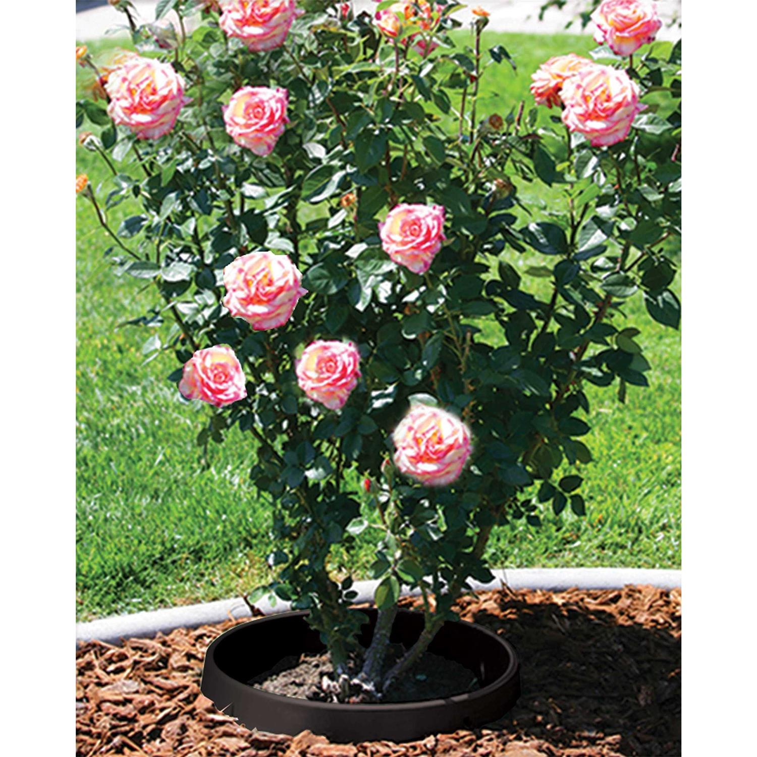 Waterrounds Planting Rings. Landscape Garden Protective - MT - Mrs Treak