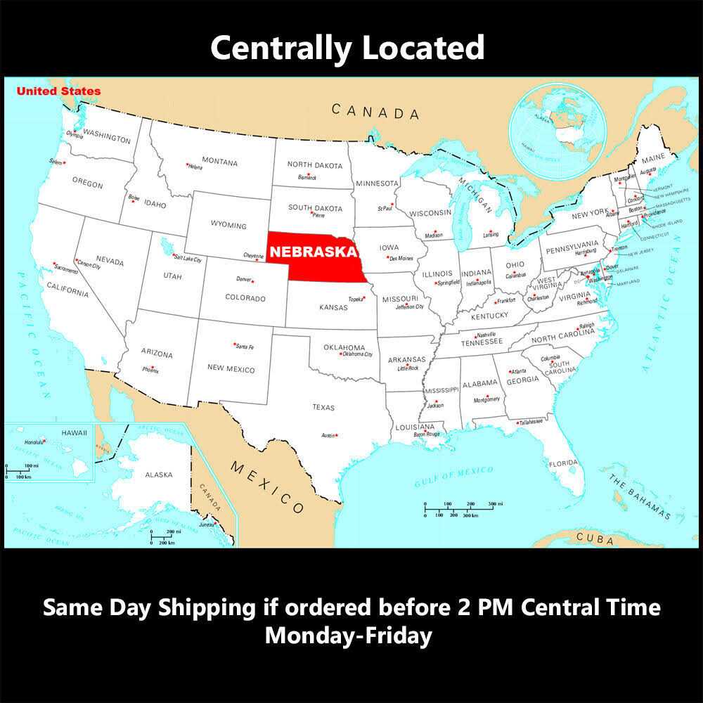 Zero Degree 1/4 Drive Gearless Ratchet with Socket Quick Release - MT - Mrs Treak